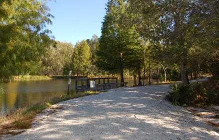 Top Family-Friendly Parks Near Clearwater for Your Next Florida Vacation