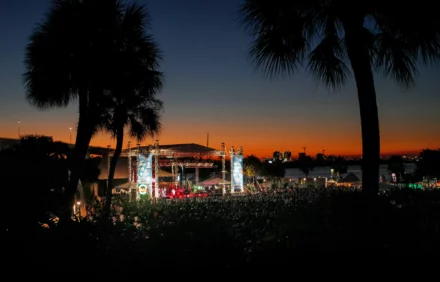 Festivals Near Clearwater: Your Guide to Can’t-Miss Local Events