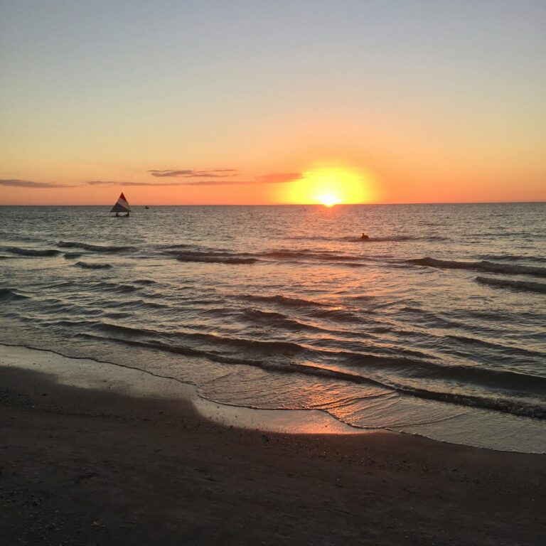 Traveling through West Central Florida doesn’t have to feel rushed. I share how I explore the region—where to slow down, what to skip, and how to plan a more meaningful stay. -Indian Shores, FL white bird under wooden dock photo
