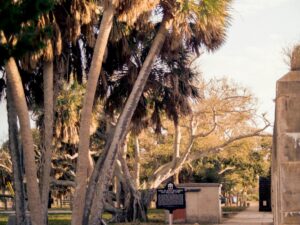 Park trail shaded by palms in Pinellas County